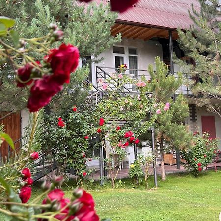 Podsolnukhi Guest House Cholpon-Ata Exterior foto