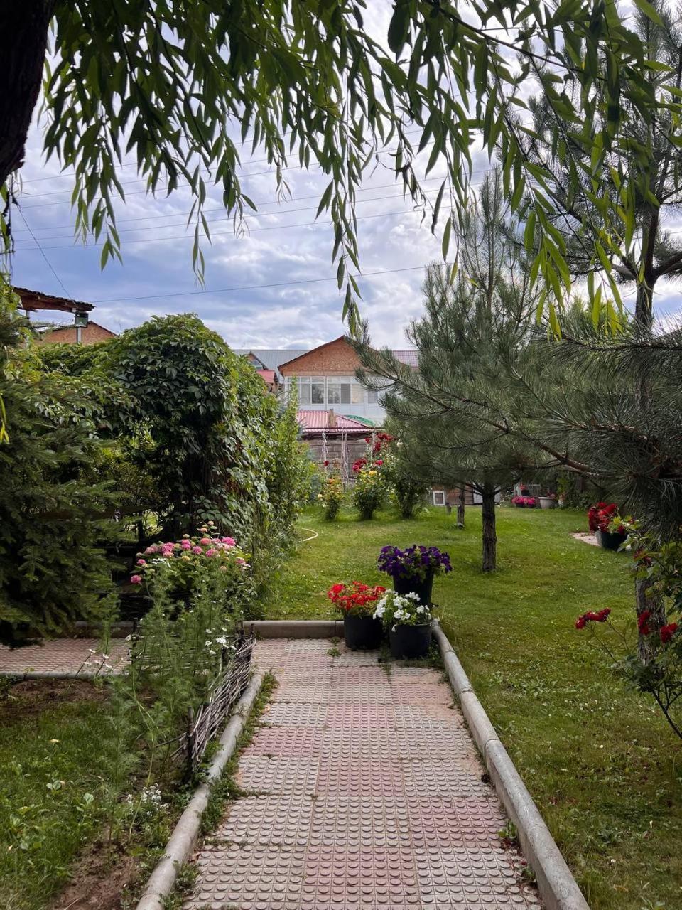 Podsolnukhi Guest House Cholpon-Ata Exterior foto