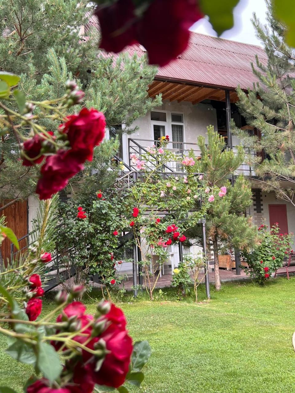 Podsolnukhi Guest House Cholpon-Ata Exterior foto